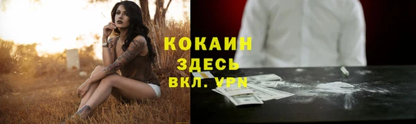 гидра Сосновка